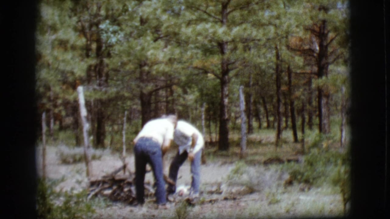 Two men bend over dry sticks beside a small woodpile in the forest.