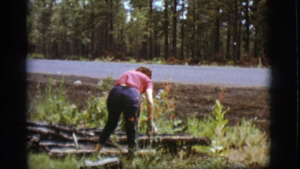 A woman in a pink shirt gathers or reaches for sticks near a paved road in the 1968 Flagstaff, Arizona wooded scene.