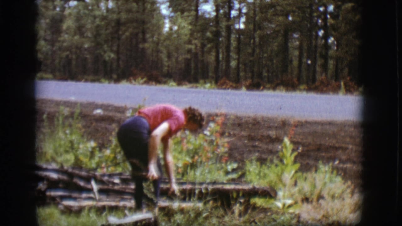 Woman in a red shirt bends near fallen branches beside a forest road.