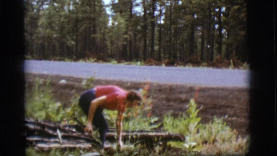 The woman continues gathering wood beside a roadside clearing in metadata-supported 1968 Flagstaff, with forest in the background.