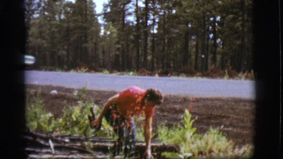 A passing car appears behind the woman as she gathers wood near a forest road in the 1968 Flagstaff home-movie scene.