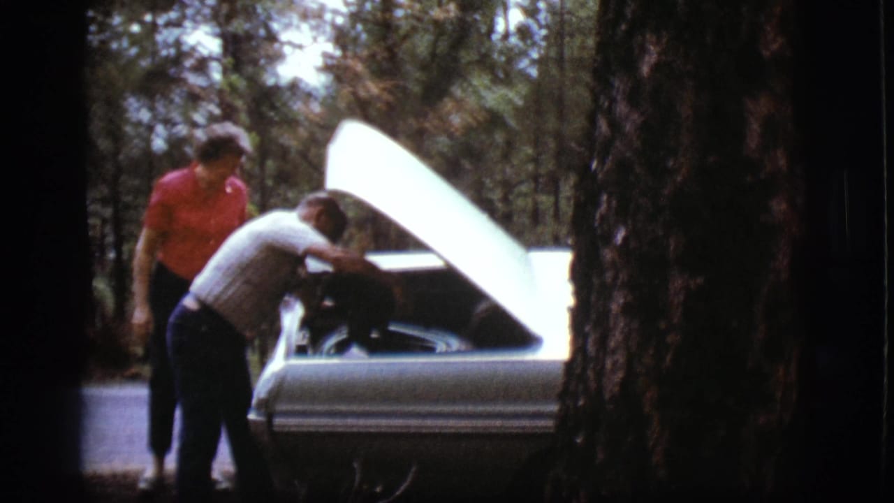 Two adults stand beside a light-colored car with its hood open on a wooded roadside.