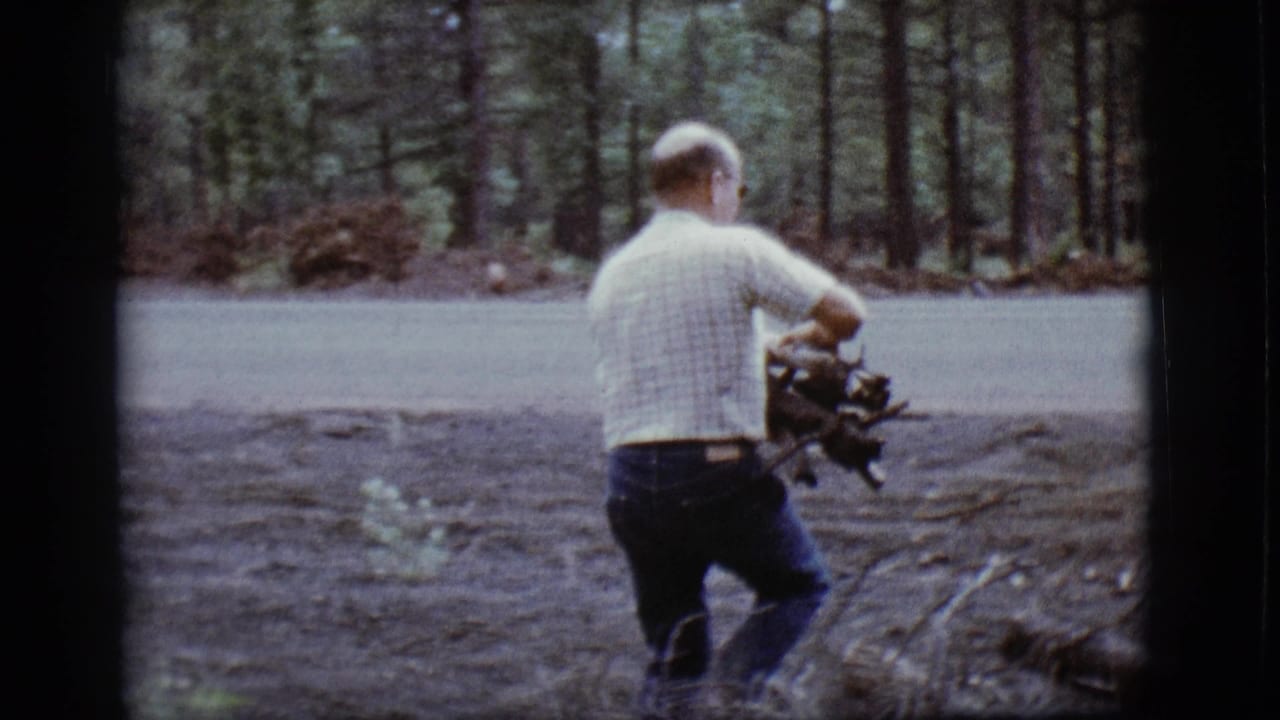 Man carrying branches across a wooded roadside toward a car.