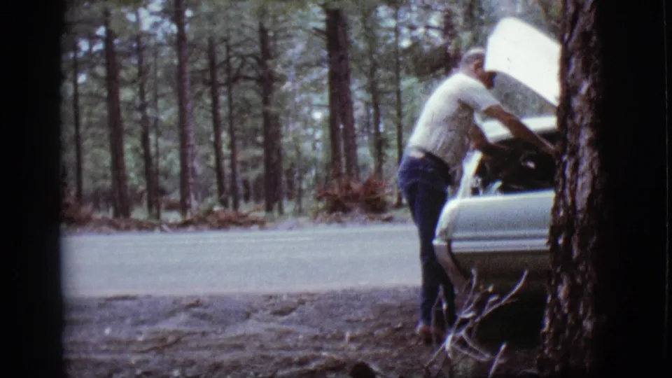 A man appears to place branches into the open hood area of a light-colored car beside a wooded Flagstaff road.