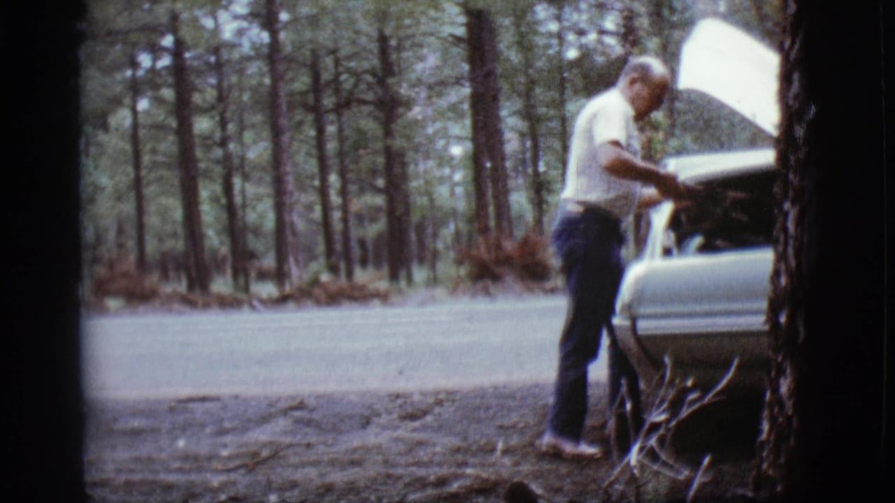 Man standing beside a light-colored car with its hood open on a forest road.