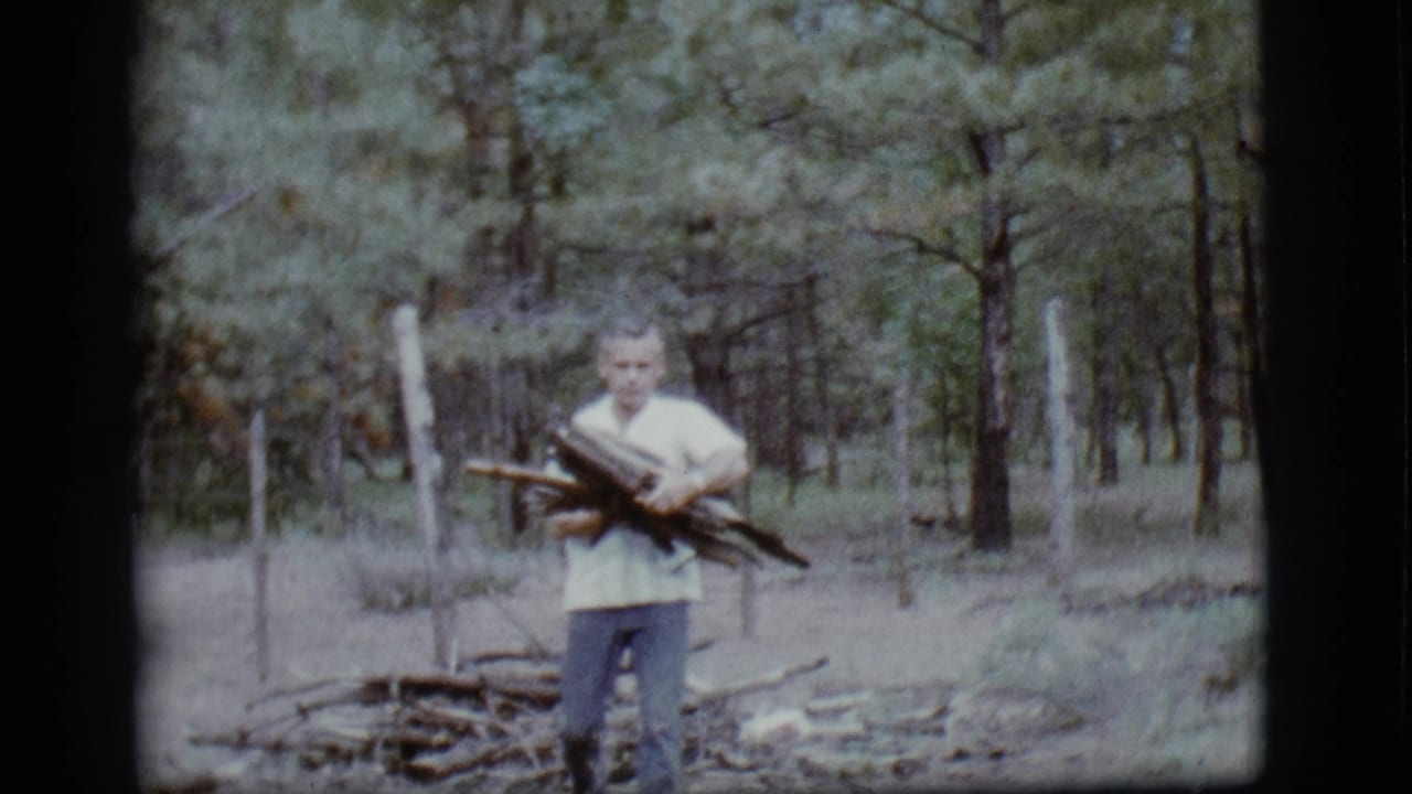 Man standing in pine woods holding a bundle of firewood near a small woodpile.