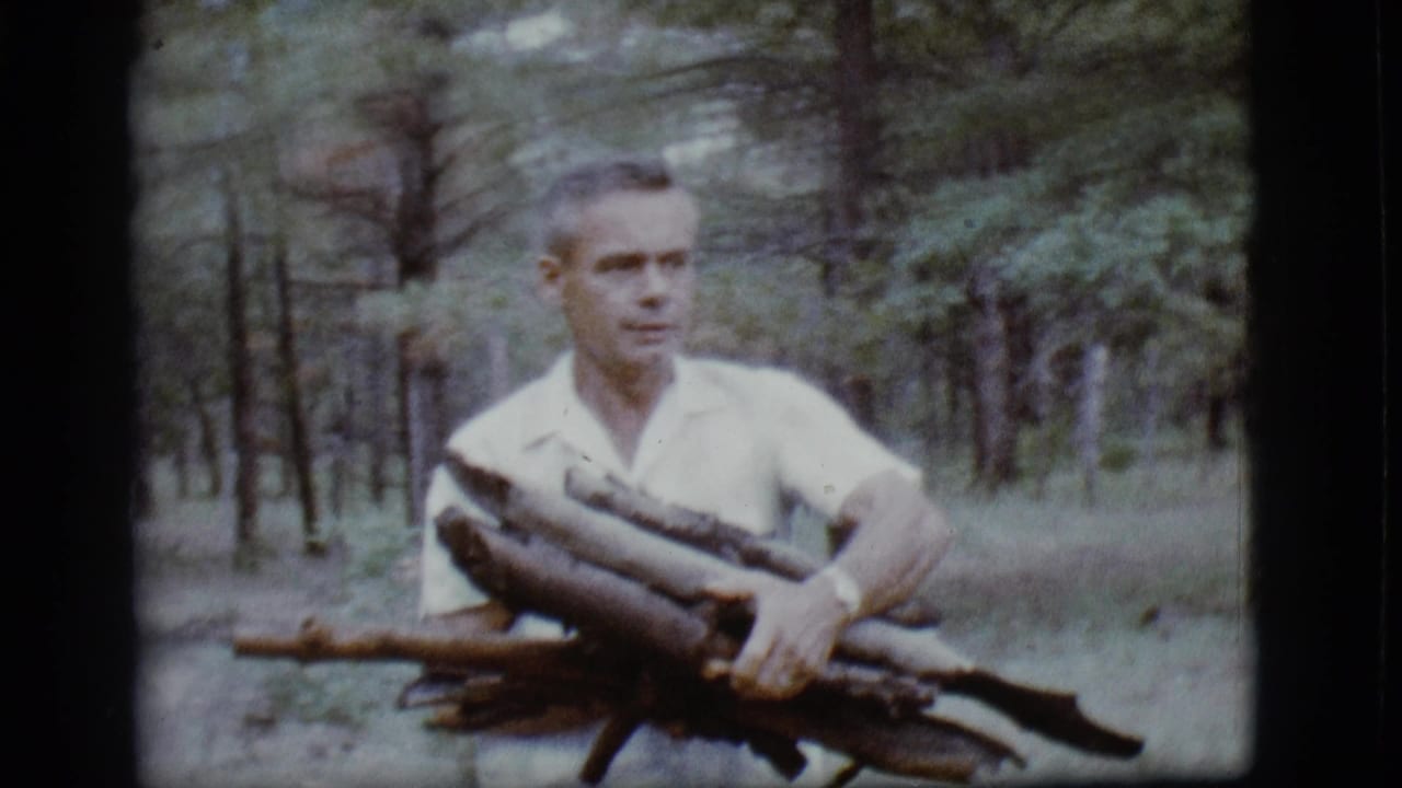 Man in a white shirt carries bundled firewood in a pine forest.