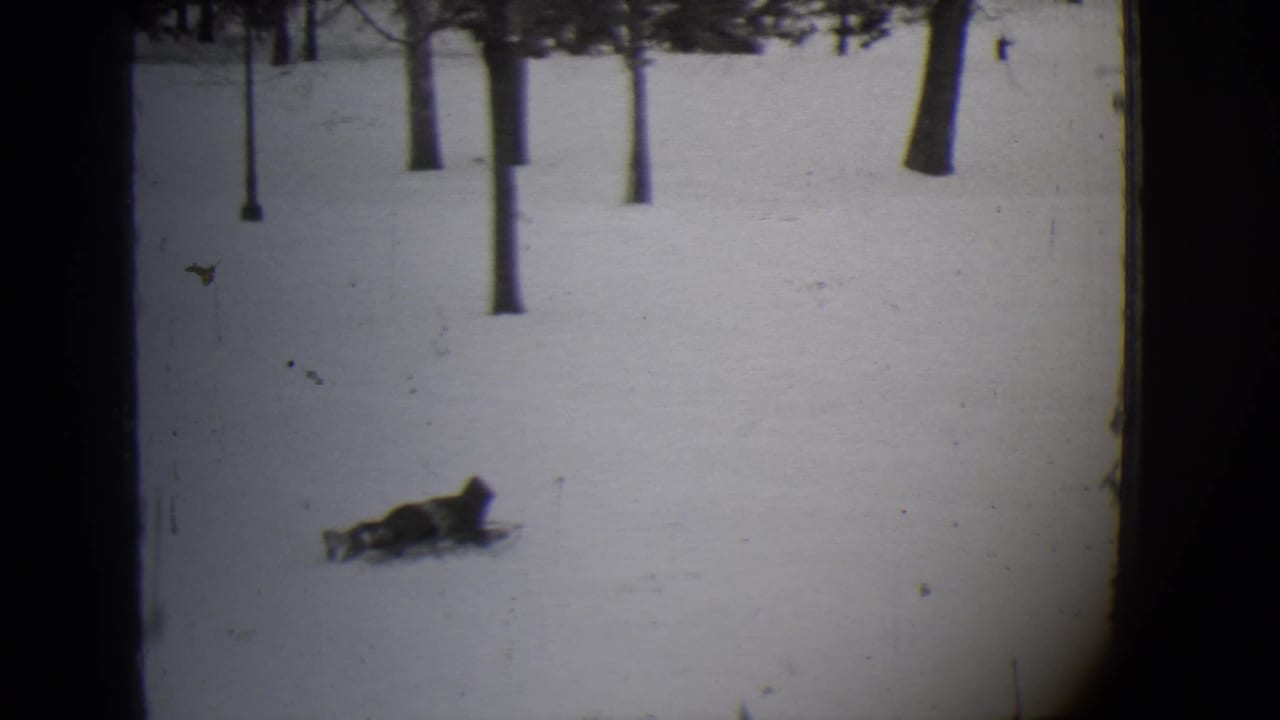 Child lying on a sled moves across a snowy slope with bare trees in the background.
