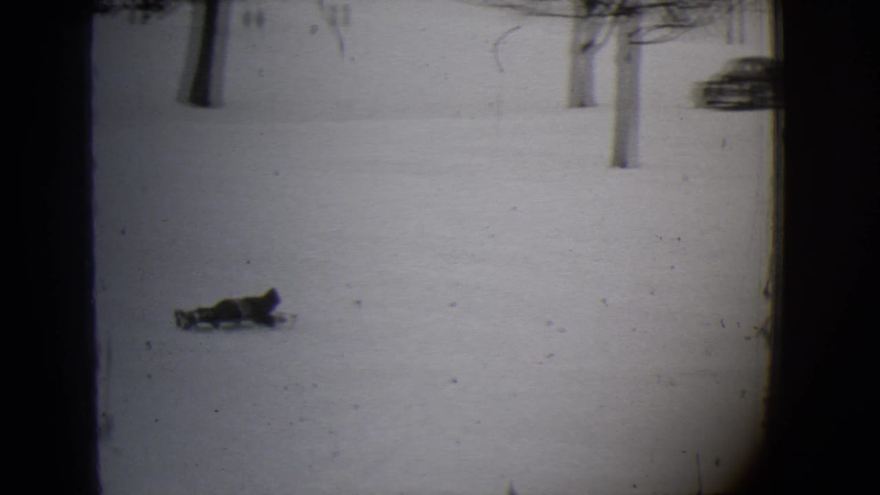 The sled rider glides across the snowy Buffalo scene as bare trees and a distant car appear in the background.