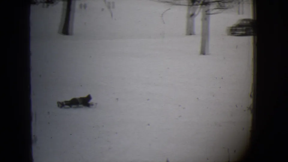 The sled rider glides across the snowy Buffalo scene as bare trees and a distant car appear in the background.