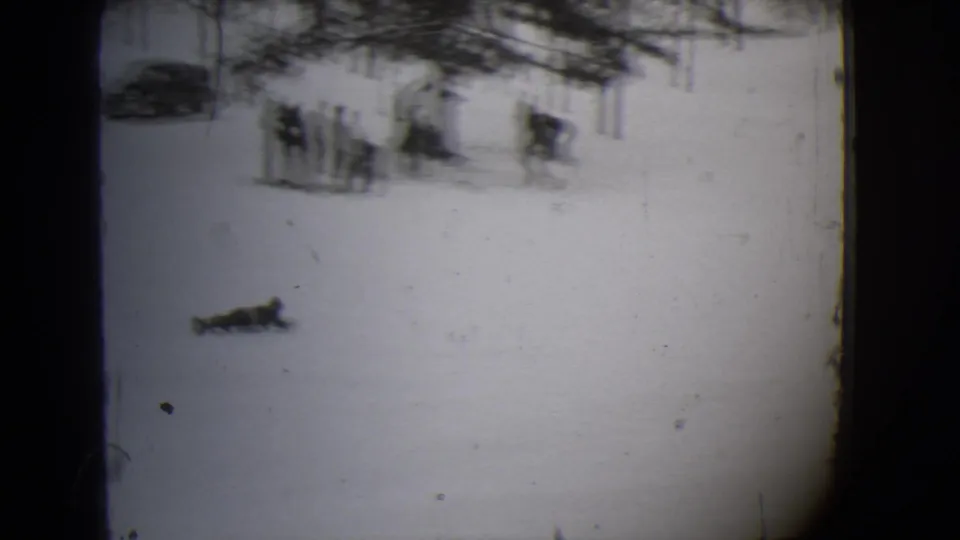 The final frame shows the sled rider on a snowy Buffalo slope with distant bystanders, cars, and bare trees.