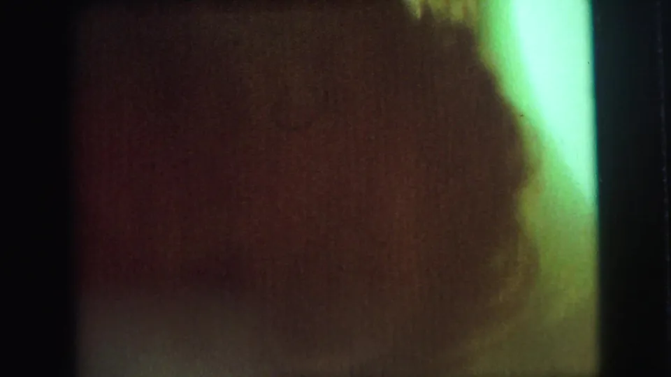 Shadowed human profile appears within a green-brown 8mm exposure from the Lynbrook 1976 home-movie metadata.