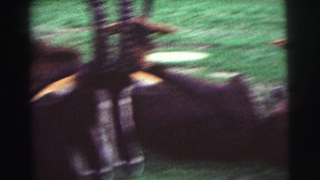 Blurred close view of antelope bodies and horns against green grass.