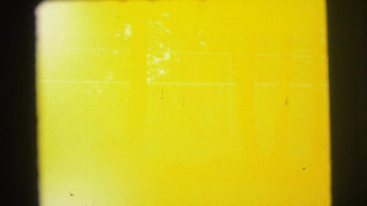 Mostly yellow overexposed film frame with faint tree shapes and border edges.
