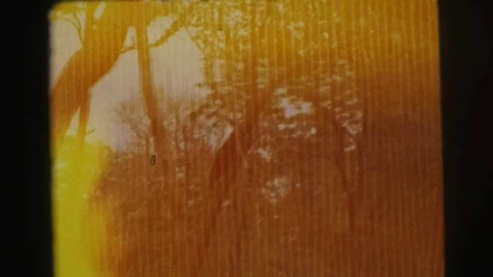 1971 Yellowstone-area 8mm frame with faint forest shapes, dark film border, and strong yellow-orange light leak.