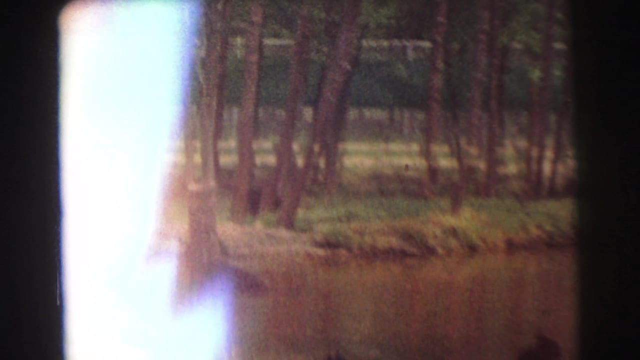 1971 Yellowstone-area wooded shoreline and water seen through soft 8mm exposure with a bright flare along the left side.