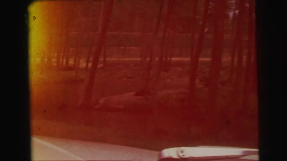 1971 Yellowstone-area 8mm view of trees and water, heavily tinted red-orange by aged exposure and light leak.