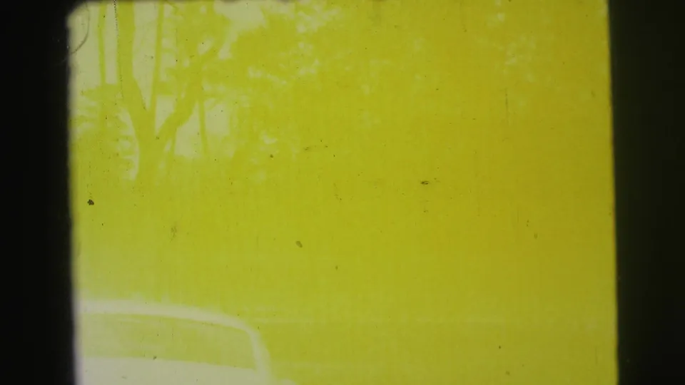 Yellow-green film leader from 1971 8mm footage, showing dark borders, scratches, and faded color before the wildlife scene begins.