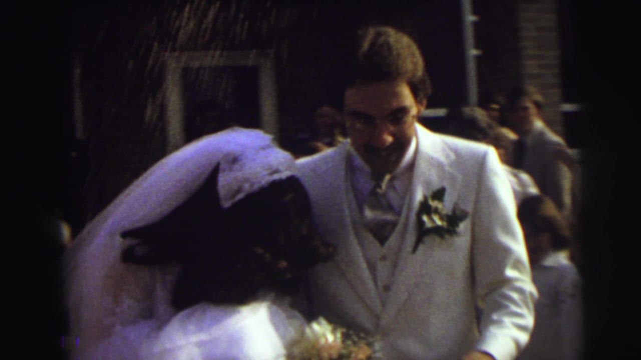 Groom smiles toward the bride as rice falls near the couple and guests.