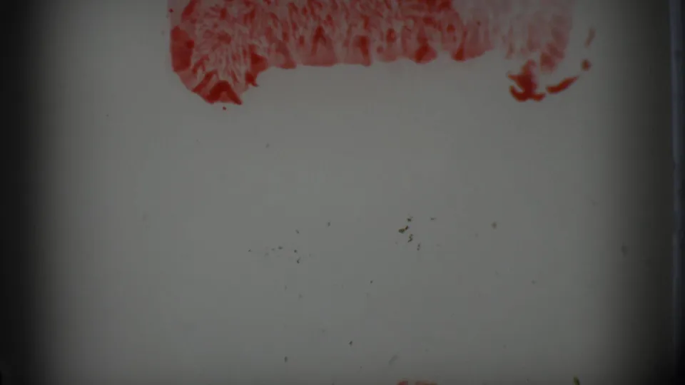 Abstract red leader markings on pale 8mm film, preceding the 1966 Des Moines home-movie scene.