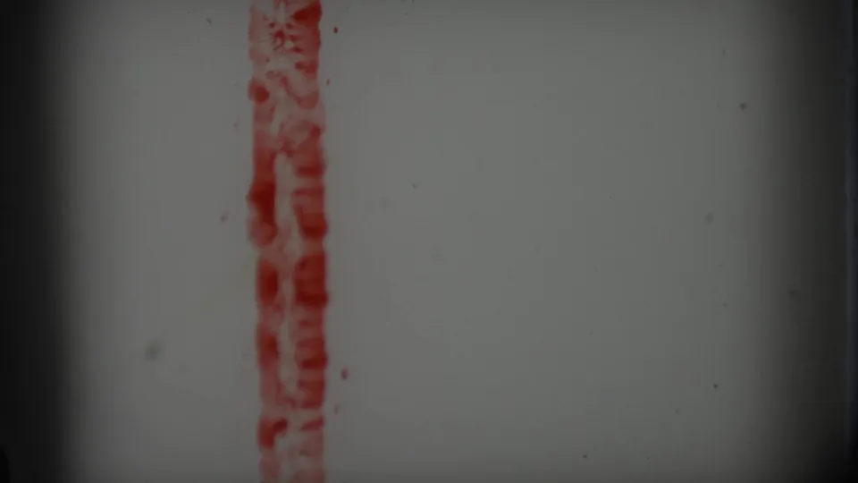 A pale 8mm leader frame with a vertical red mark, part of the opening material before the family car shot.