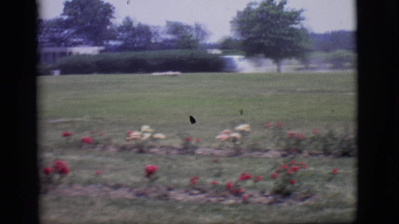 1966 Des Moines cemetery view with rose beds, open lawn, trees, and a distant road or drive.
