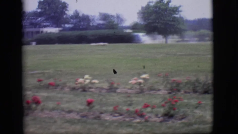 1966 Des Moines cemetery view with rose beds, open lawn, trees, and a distant road or drive.