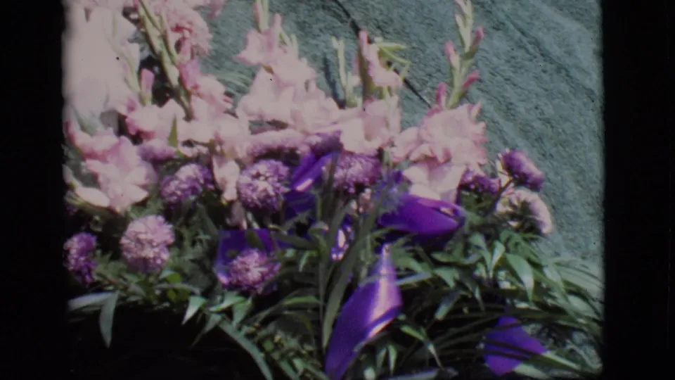 1966 cemetery bouquet with pink gladiolus-like blooms, purple flowers, and a purple ribbon arranged on a dark grave covering.