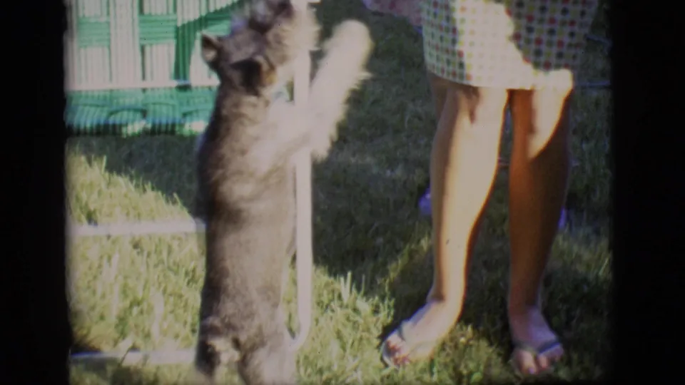 In 1966 Des Moines home-movie footage, a small terrier reaches up near an adult's legs beside a green woven lawn chair.