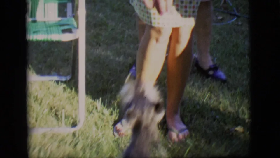 The terrier moves quickly near an adult in a checkered dress, with a green lawn chair visible in the sunny backyard.