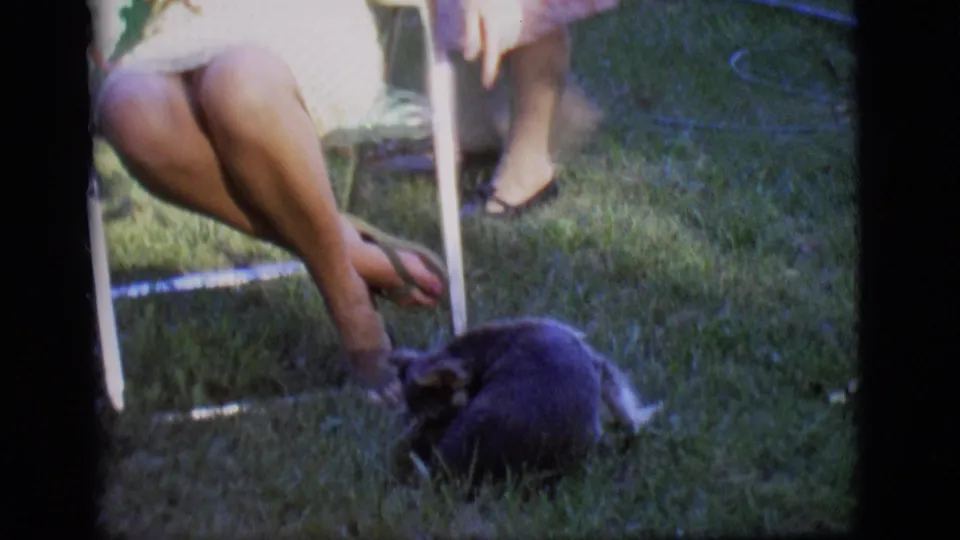 A small dog appears at the feet of the seated woman in the Des Moines backyard, with the lawn chair and companion's legs visible nearby.
