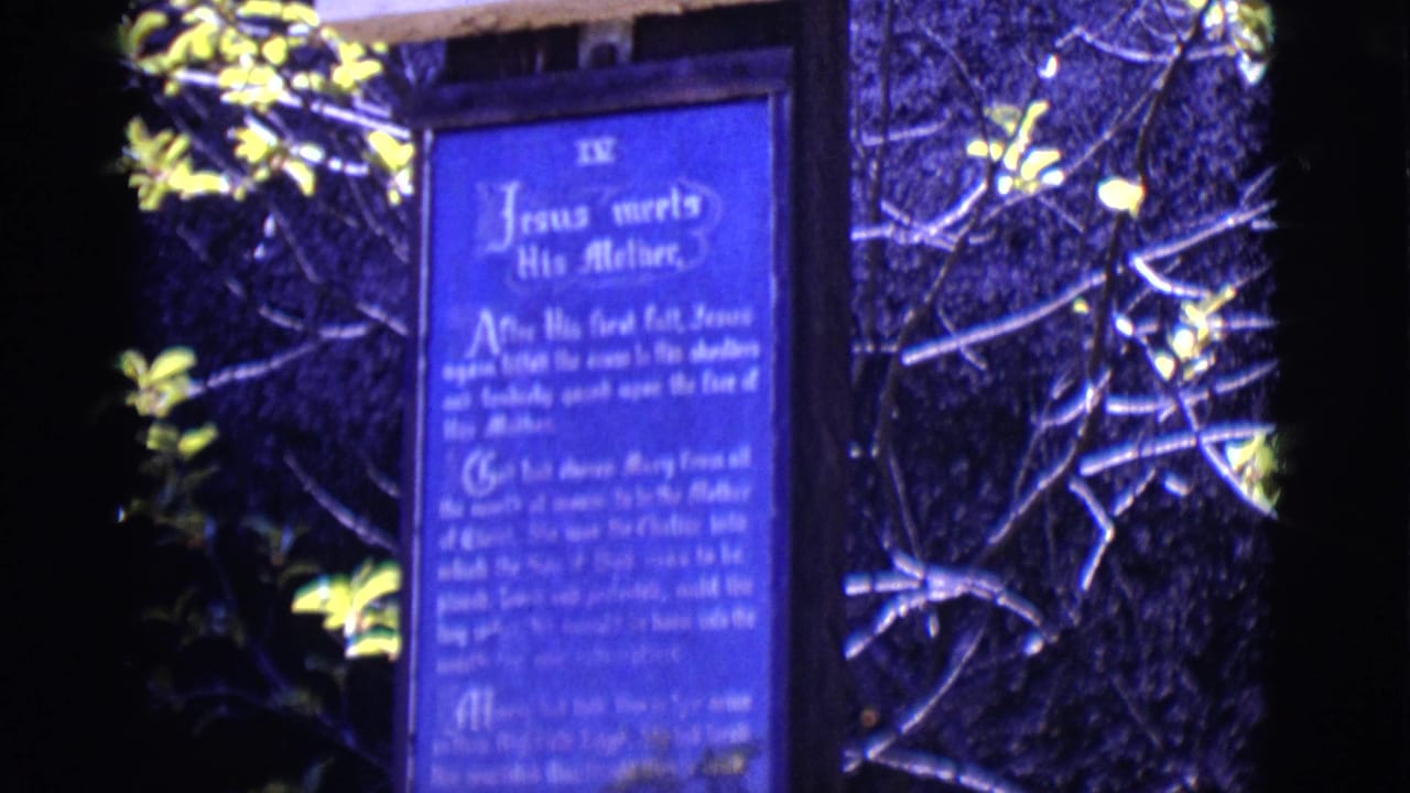 Blue Way of the Cross sign reading Jesus meets His Mother among dark trees.