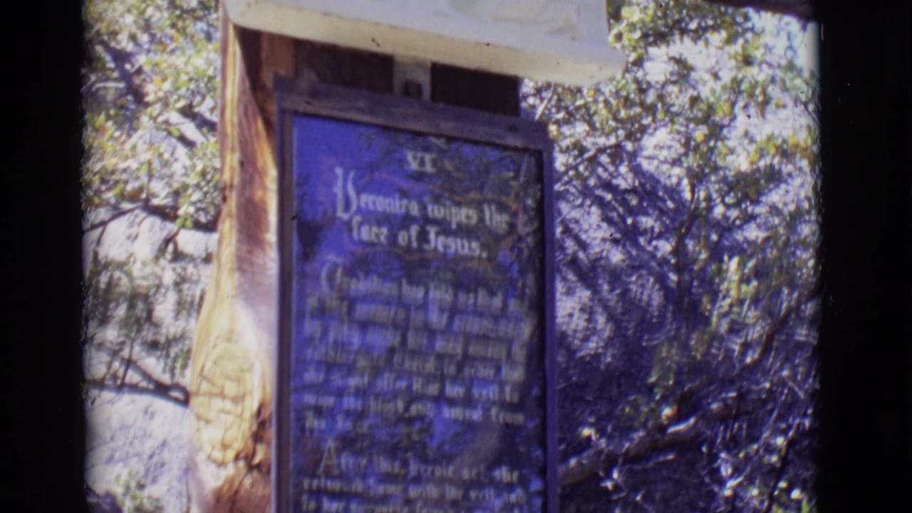 Close handheld 8mm view of the Station VI plaque, with surrounding branches and the marker structure visible in San Luis, Colorado.