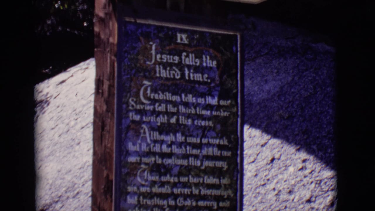 Dark blue Ninth Station plaque beside stonework and shadowed outdoor foliage.