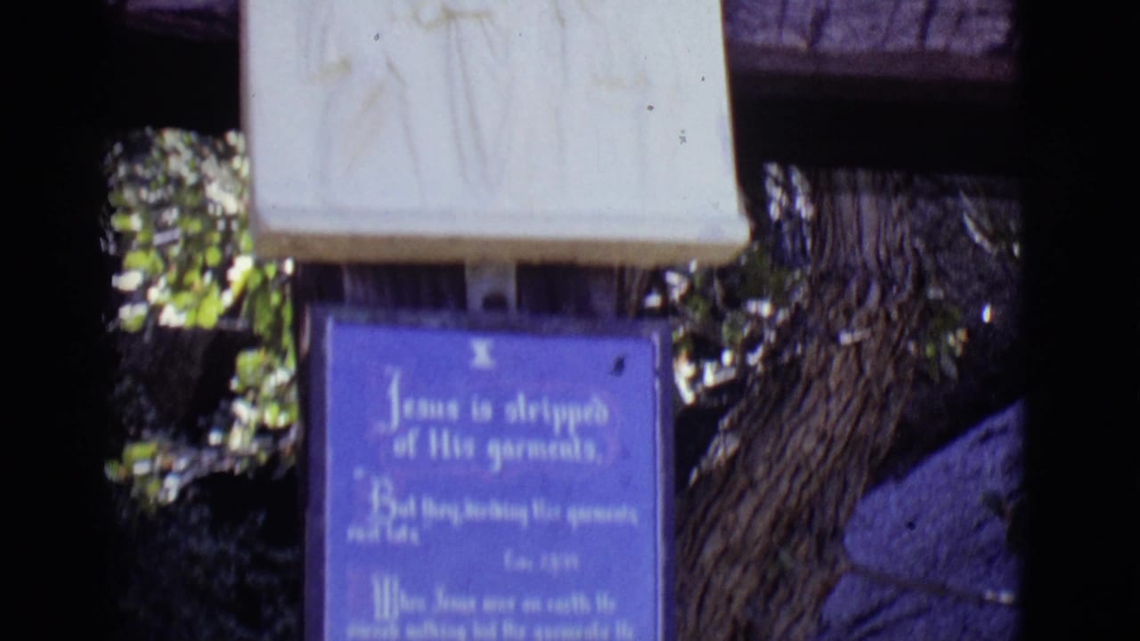Visitor-shot 1965 frame in San Luis, Colorado with the blue station plaque, pale relief panel, wood rail, and tree bark.