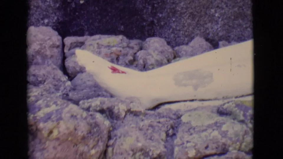 1965 San Luis, Colorado detail frame showing a pale statue foot or lower limb among rocks, with a small red mark visible near the top.