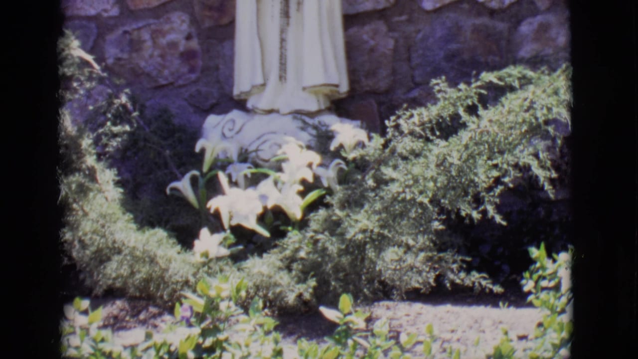 1965 San Luis, Colorado frame with lilies and dense shrubs around the base of a white-robed Mary statue before a stone wall.
