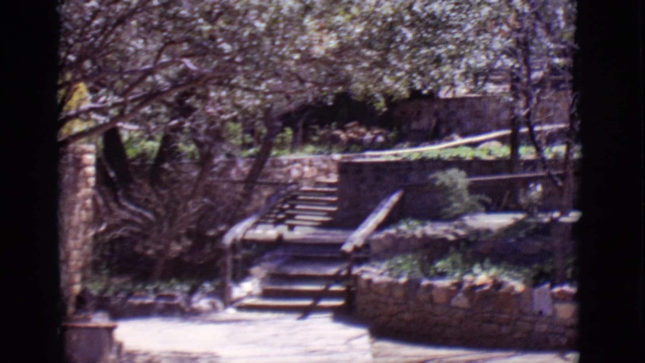 Stone steps and wooden railings sit among trees and low stone walls.