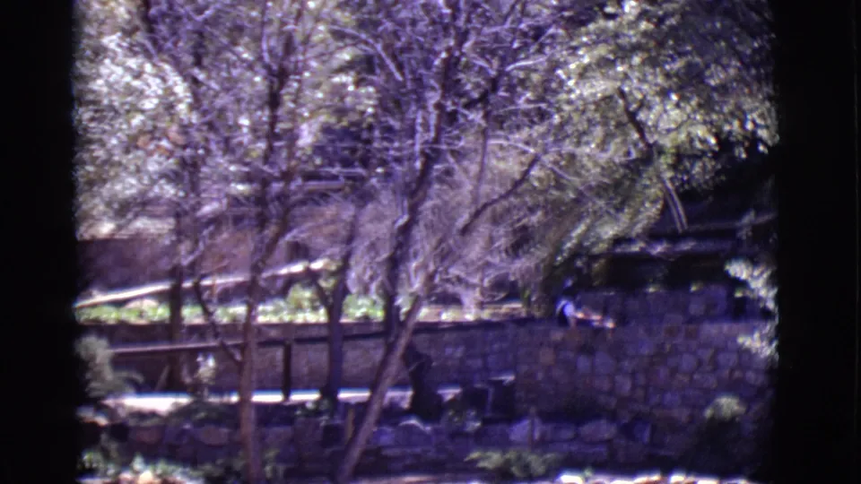1965 San Luis, Colorado frame showing trees, stone retaining walls, railings, and a shaded area at the edge of the stairway.
