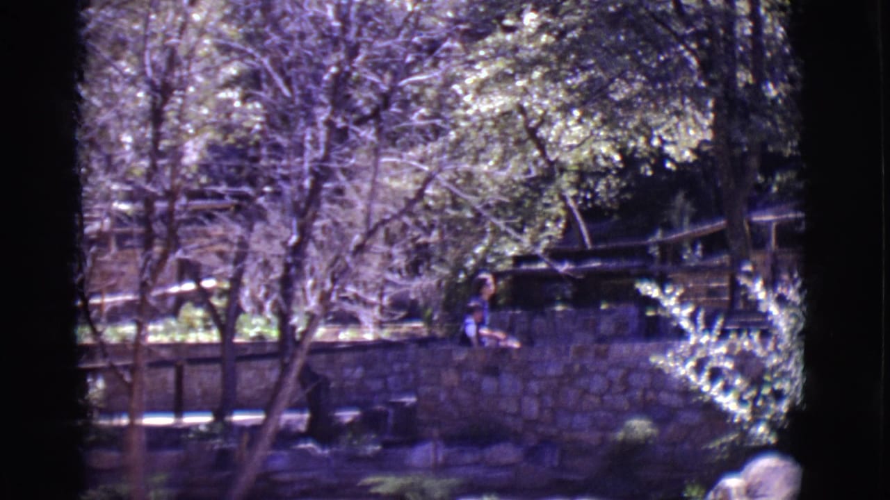 Stone wall and trees with a person partly visible near a shaded outdoor structure.