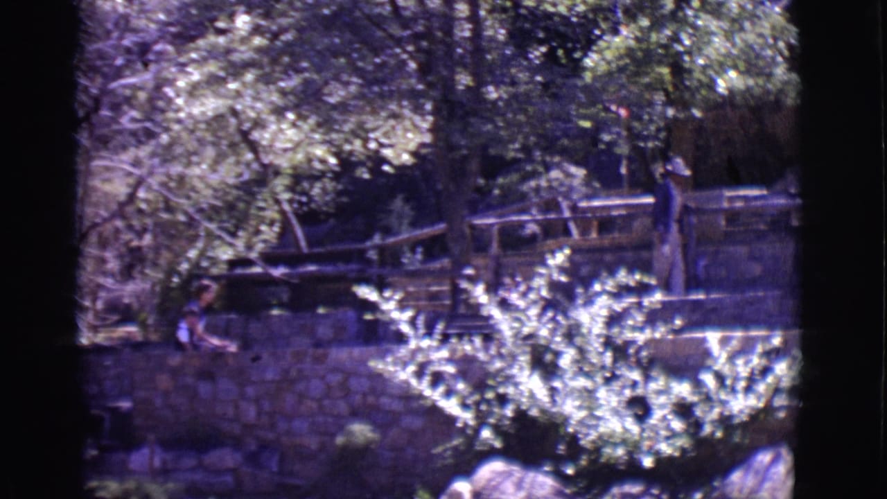 Trees, stonework, railing, and a standing person near an overgrown outdoor structure.