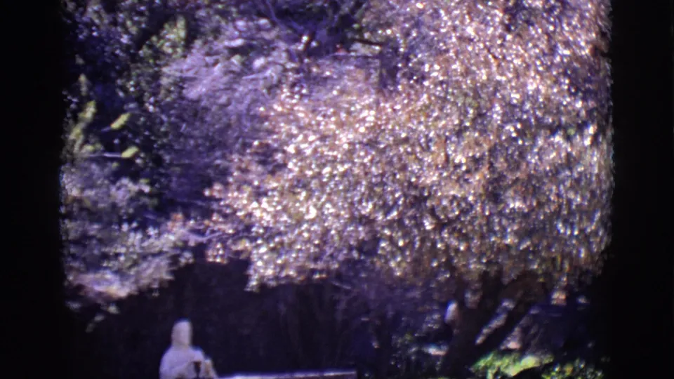 San Luis, Colorado 1965 8mm frame showing bright shrubbery, heavy grain, dark garden shade, and a small pale figure or statue below.