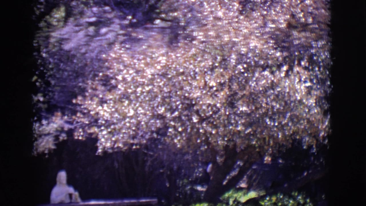Woman seated on a bench beneath a large sunlit tree in a park.
