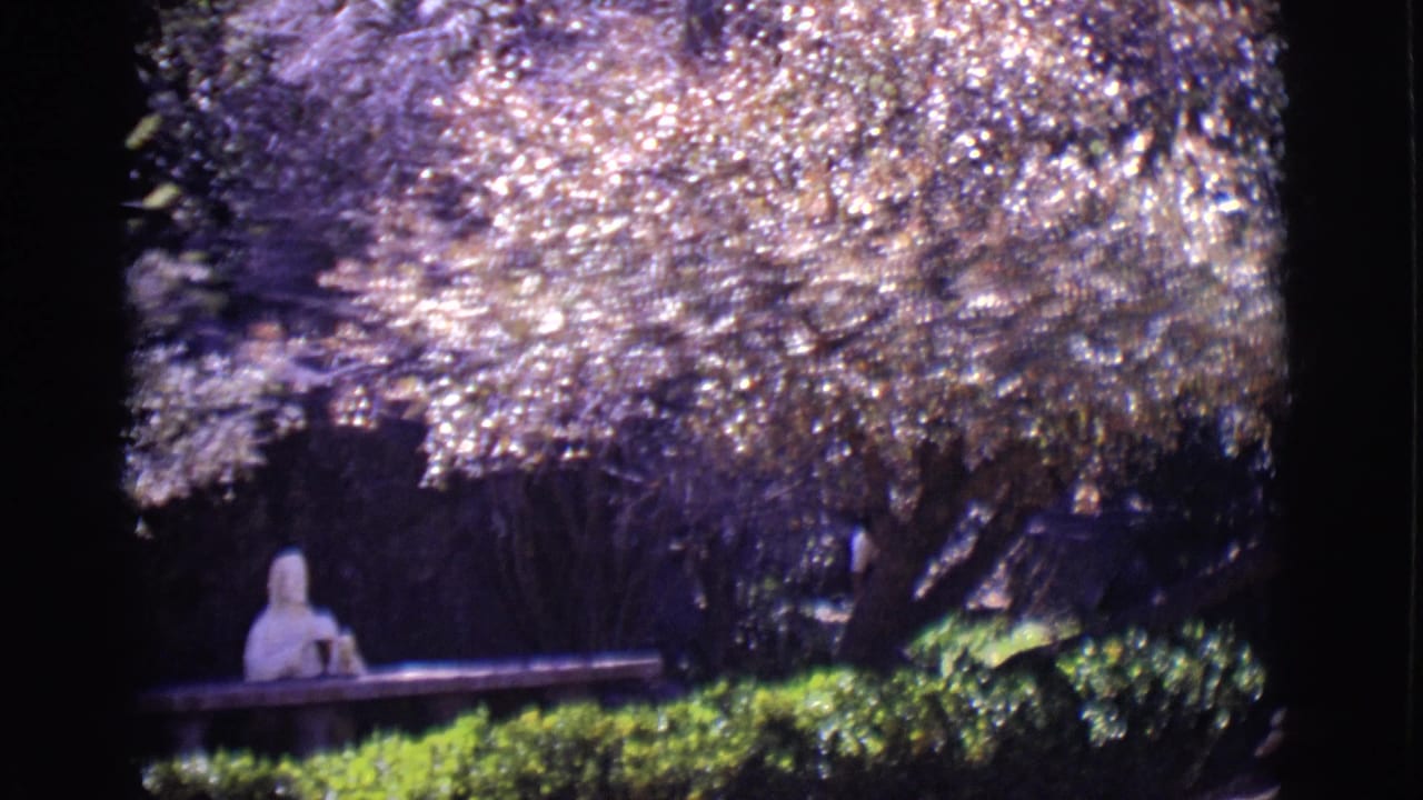 A distant woman sits on a long bench in a San Luis, Colorado park, with bright leaves and deep shade around her.