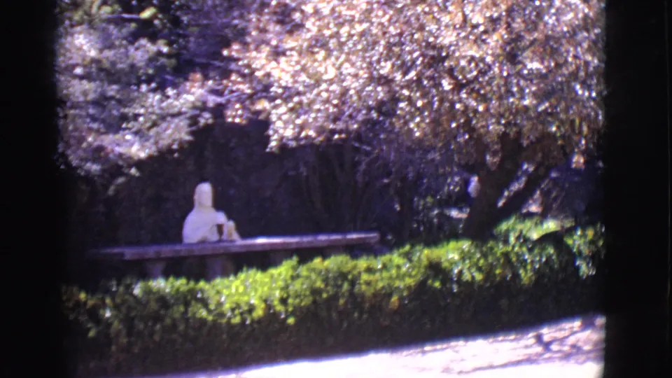 The 8mm frame shows a woman seated behind a hedge in a park, with a bright walkway and large tree canopy in view.