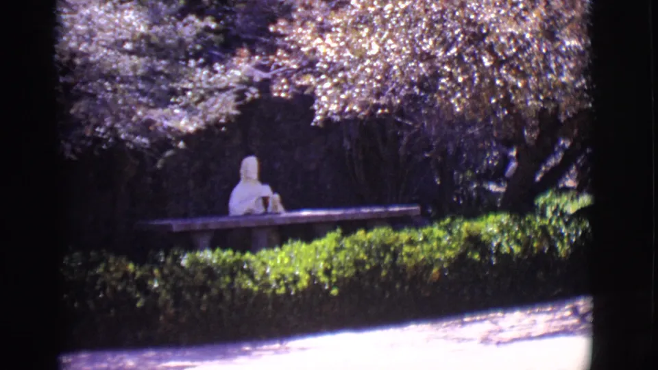 A woman remains seated on a bench in the shaded garden setting, with hedges, tree limbs, and bright ground visible.