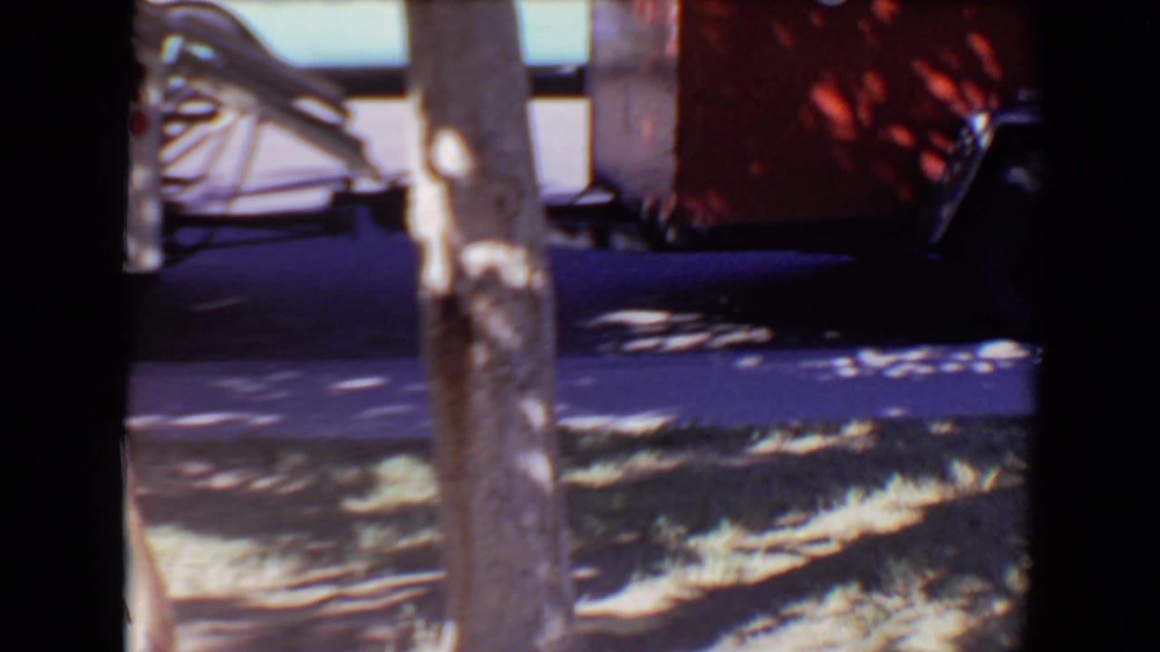 Trees and shaded ground with a partial trailer visible behind them.