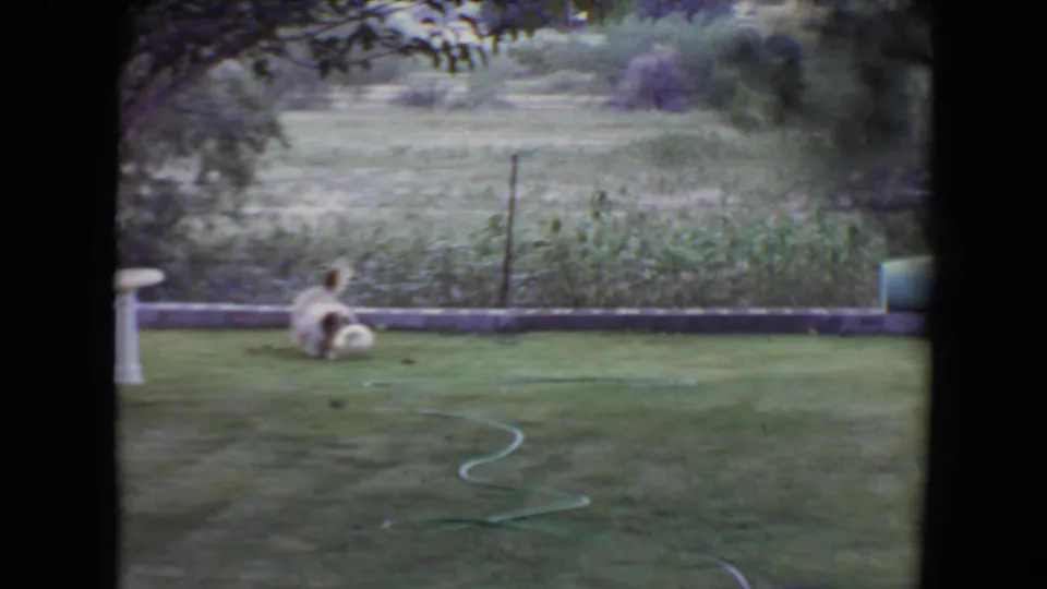 Small dog plays near a pale ball in a Flagstaff backyard, with a coiled hose, low wall, and birdbath in the 1961 8mm frame.