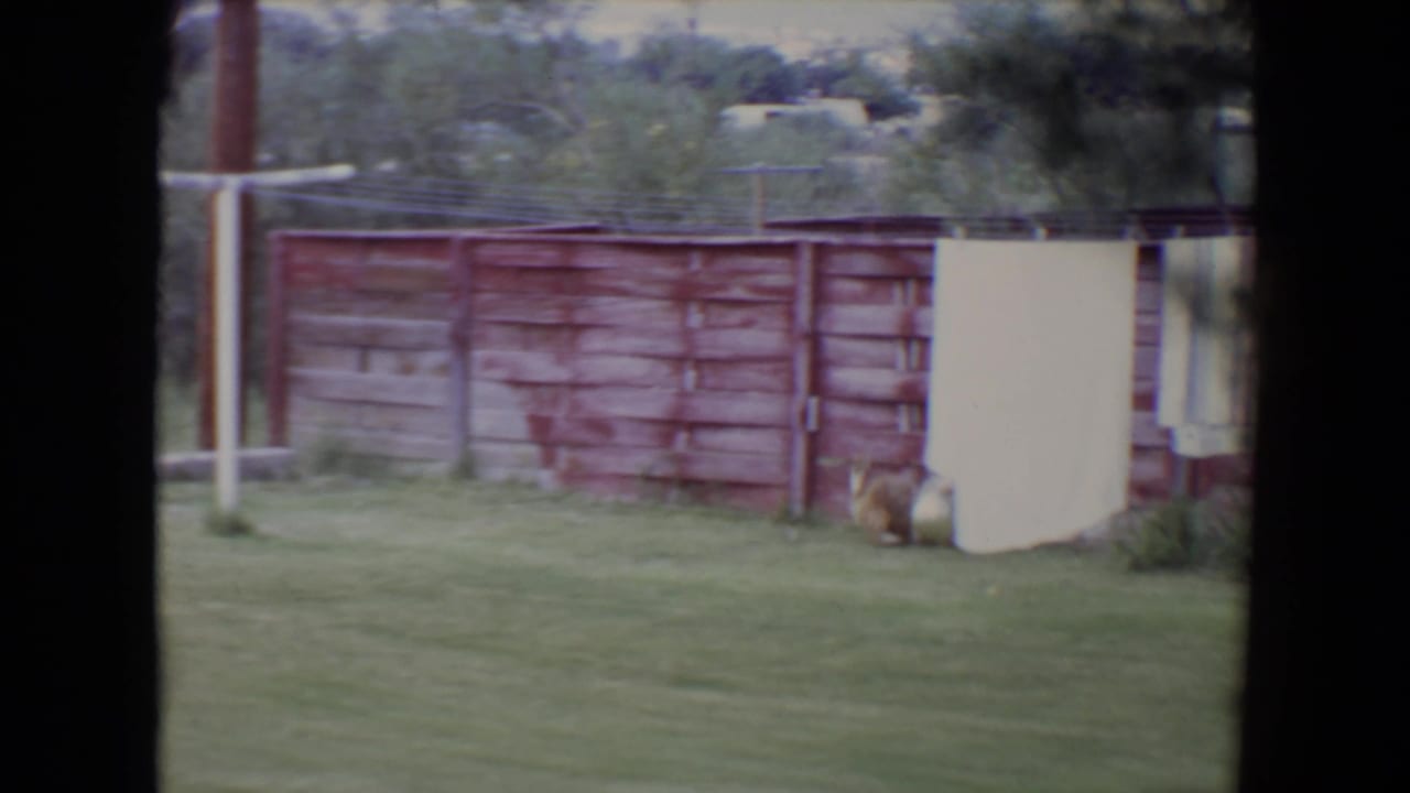 In a 1961 Flagstaff backyard, a small long-haired puppy stands near a large pale ball beside a red fence and clothesline.