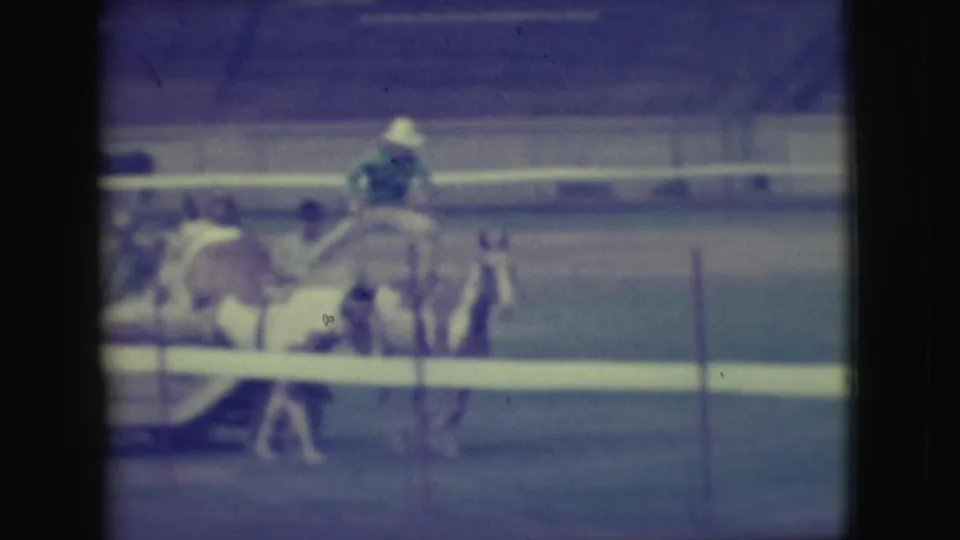 The rider remains standing across the pair of horses as they move through the Denver arena scene.